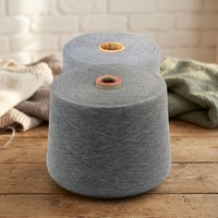 Fil 100% Polyester Filé à Anneaux 30/1 40/1 Écologique S-Twist pour Broderie Tricot Couture Motif Teint Fil 40S