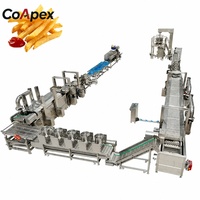 Frituurmachine voor het verwerken van frieten, fruit en groenten, automatisch, hoge capaciteit, geschikt voor continue, gecertificeerde werking