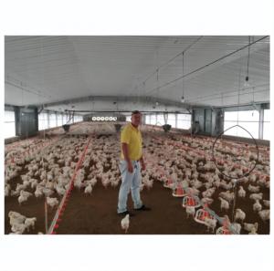 Find chicken farm building Wholesale For Your Building Project