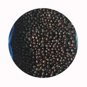 Ribes Nero Surgelato IQF Premium |   All'ingrosso |   Purezza 99,9% (Senza Foglie/Steli) |   Grado Sortex |   Pronto per la Lavorazione |   Approvato BRC - Product Image 1