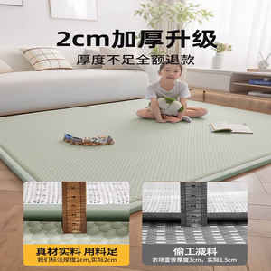 Cooling Mat For Sleeping Floor Covering Tatami Mattress Nap Mat Soft Mattress With Ice Bean Beans 2.2m Rectangle Synthetic - Product Image 4