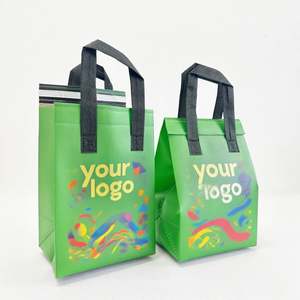 Disposable Insulated Bag Nonwoven Aluminium Customized Food Delivery Cooler Bag Custom Logo Reusable Thermal Bag - Product Image 1