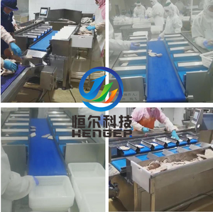 Macchina confezionatrice automatica combinazione pesatrice - Product Image 6