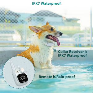 Para PATPET 2025, el más nuevo Collar de entrenamiento recargable para perros, Collar de ladridos electrónicos, <span class=keywords><strong>Control</strong></span> remoto de choque con cable, PC duradera - Product Image 3