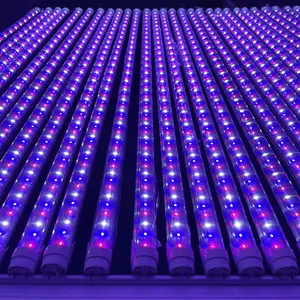 全可调光谱线型发光二极管植物生长管灯温室紫外红外2024
