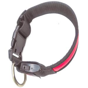 Collar Luminoso LED con Carga USB para Perros, Collar Antipérdida para Golden Retriever, Border <span class=keywords><strong>Collie</strong></span> y Todas las Razas - Product Image 3