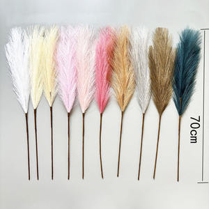 หญ้าแพมพัสเทียม - Product Image 2