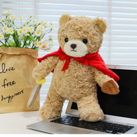 Nouveau ours en peluche ours poupée pour anniversaire d'enfants brodé dormir étreindre bébé en peluche soulagement du Stress jouet en peluche