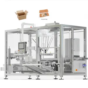 中国供应商机器人包装机小纸箱二次包装系统