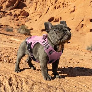 Harnais tactique réfléchissant réglable pour chiens de taille moyenne, maille respirante en nylon, boucle à dégagement rapide, pochette à déchets intégrée - Product Image 3