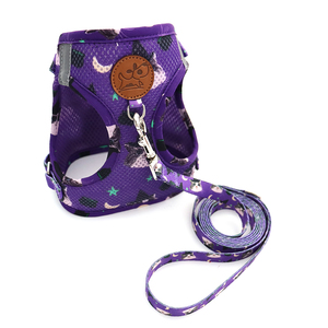 Correa de nailon con estampado personalizado para perros y gatos, correa para el pecho - Product Image 4