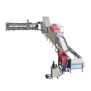 Fruit Grader/Apple Waxen Wassen Sorteren Machine Voor Fruit