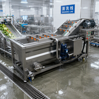 Fruit- en groentewasmachine, appel-, sinaasappel- en meidoornwasmachine, aloë vera was- en reinigingsmachine