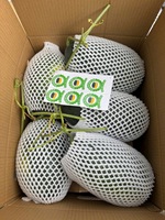 Premium Gele Watermeloen |   Vietnam exporteert naar Nederland |   30-60 dagen houdbaarheid |   Vers