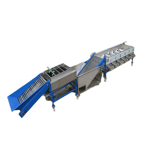 Citrus and Navel Orange Sorting Machine Fruit Sorter Machine Fruit Sorting Plant - Product Image 3