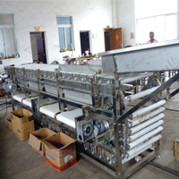 Neweek Papaya Grading Ui Verwerking Lijn Kleine Fruit Aardappel Tomaat Size Sorteren Machine