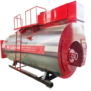 Chaudière à vapeur à gaz combustible à pression de fonctionnement naturelle 1,0 Mpa 1,25 Mpa - Product Image 2