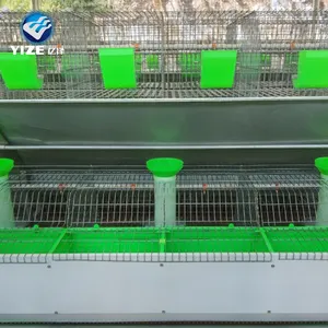 Saco de limpeza automático de coelho, venda quente de coelho barato com 3 camadas/alimentador de coelho (fábrica), limpeza automática de manure, novo design 2021