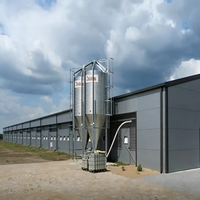 Poulailler économique moderne en structure acier, hangar préfabriqué pour bétail, élevage avicole à grande échelle, haute résistance, galvanisé à chaud