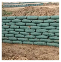 Qianyuan Anti-UV Sac écologique Geobag Sac de sable en tissu pour le contrôle de l'érosion des murs de soutènement Protection des pentes Remblai de berge