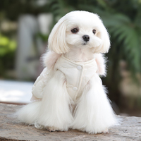 Robes classiques brodées de qualité supérieure pour chiens, chats et mini-animaux de compagnie, en polyester respirant et confortable, style princesse, pour l'export.