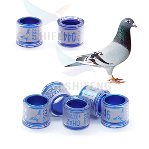 Hot Selling Mixed Order Multicolor Duivenvoetring Met Woordoorbellen Duurzaam Vogelracevogelgereedschap - Product Image 4