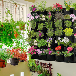 Jardinière verticale à 36 poches en feutre, jardinière murale verticale, sacs de culture pour plantes aromatiques et légumes en extérieur - Product Image 6
