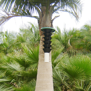 Kit de trampa para polillas con embudo múltiple, señuelo de feromonas sexuales ecológico de plástico, gorgojo de la palma roja, escarabajo de coco, captura masiva de alta eficiencia - Product Image 3