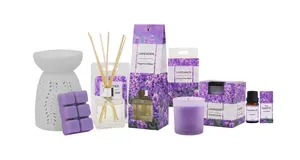 2024 all'ingrosso di alta qualità elegante decorazione domestica 70ml bottiglia di vetro Reed diffusore con bastoncini naturali per Set regalo-lavanda