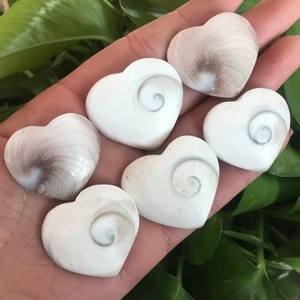Coquille de Soleil en Cristal de Guérison de Haute Qualité pour la Décoration Intérieure et l'Énergie - Vente en Gros - Product Image 1