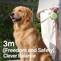 Laisse Rétractable Automatique Personnalisée OEM ODM Populaire en ABS pour Chien, 3M 5M, avec Verrouillage à Bouton Unique, Corde de Traction pour Chiens, Accessoires pour Animaux de Compagnie