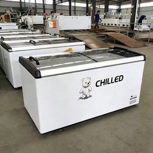 Congelador Vertical Comercial Tipo Isla, Gran Capacidad, Económico, en Oferta, para Supermercados y Pescaderías - Product Image 1