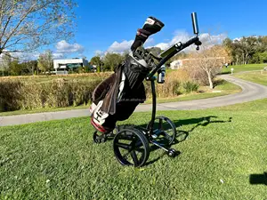 Sepeda roda tiga golf listrik