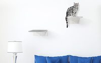Metall-Katzenregal Wandmontiert Gebogenes Katzenbett Möbel Kletterwand-Halterung für Katzen zum Sitzen und Schlafen