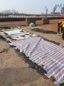 CBGM-EWT300 vữa vữa xi măng chính xác 70MPa cường độ cực cao với thời gian làm việc kéo dài - Product Image 6