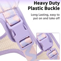 Maßgeschneidertes Personalisiertes Modisches Hundegeschirr Neues Design Verstellbar Komfortabel Langlebig Nylon Atmungsaktives Netzgewebe Waschbar