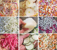 Commerciële Wortel Komkommer Aardappel Kool Selderij Fruit Groente Snijden Snijmachine