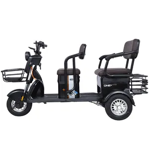 Triciclo eléctrico Paige, bicicleta de equilibrio para adultos, bicicleta para niños, triciclo motorizado 250cc Roadster 2023, motocicleta t-rex de carga de gas de 3 ruedas