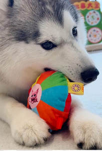 Nuovo Giocattolo Interattivo Ecologico per Cani e Gatti 2026, Peluche Personalizzato con Suoni per Addestramento - Product Image 5