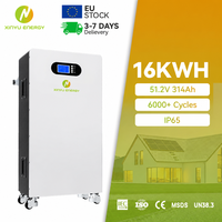 Batterie de stockage d'énergie au lithium 314Ah 51.2V 16Kwh 32Kwh pour système solaire domestique avec 6000 cycles