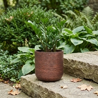 Pot de fleurs naturel en béton léger pour décoration de jardin et maison, jardinière en ciment pour plantes d'extérieur