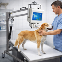 Appareil de radiographie numérique portable vétérinaire avec panneau DR pour l'imagerie radiologique, diagnostic, détecteur de rayons X numérique