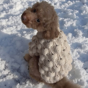 Klassischer Traditioneller Einfarbiger Dehnbarer Weihnachts-Hundepullover Luxus XL XXL Festliche Warme Haustierkleidung Gestrickter Hundepullover - Product Image 6