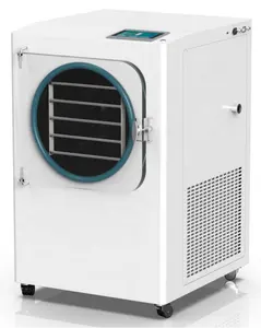 Cold Air Frozen Vacuum Freeze Dryer For Sale