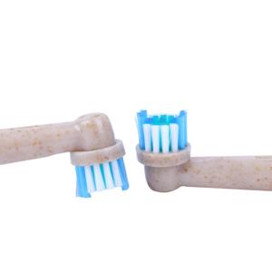 Tête <span class=keywords><strong>de</strong></span> remplacement <span class=keywords><strong>de</strong></span> <span class=keywords><strong>brosse</strong></span> à dents électrique environnementale Têtes <span class=keywords><strong>de</strong></span> <span class=keywords><strong>brosse</strong></span> à dents Têtes <span class=keywords><strong>de</strong></span> <span class=keywords><strong>brosse</strong></span> à dents <span class=keywords><strong>de</strong></span> remplacement pour <span class=keywords><strong>oral</strong></span> <span class=keywords><strong>B</strong></span> - Product Image 5