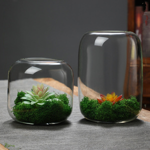 <span class=keywords><strong>Terrarium</strong></span> <span class=keywords><strong>en</strong></span> <span class=keywords><strong>verre</strong></span> transparent moderne et écologique à faire soi-même, <span class=keywords><strong>vase</strong></span> de table <span class=keywords><strong>pour</strong></span> micro-paysages, plantes succulentes et décoration <span class=keywords><strong>en</strong></span> mousse - Product Image 4