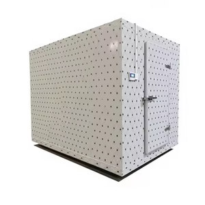 Chambre Froide Portable avec Conteneur et Panneau Insonorisé, Équipement de Réfrigération Monobloc, Mini Chambre Froide - Product Image 4