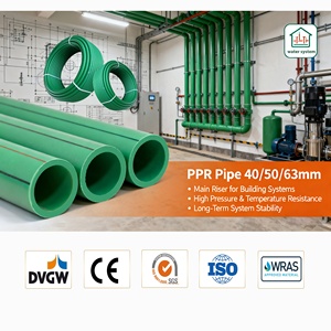 Accesorios de Tubería <span class=keywords><strong>PPR</strong></span> de Fábrica China Conexiones para Tubo <span class=keywords><strong>PPR</strong></span> Tamaños DN 20mm 25mm 32mm Tubería <span class=keywords><strong>PPR</strong></span> - Product Image 3