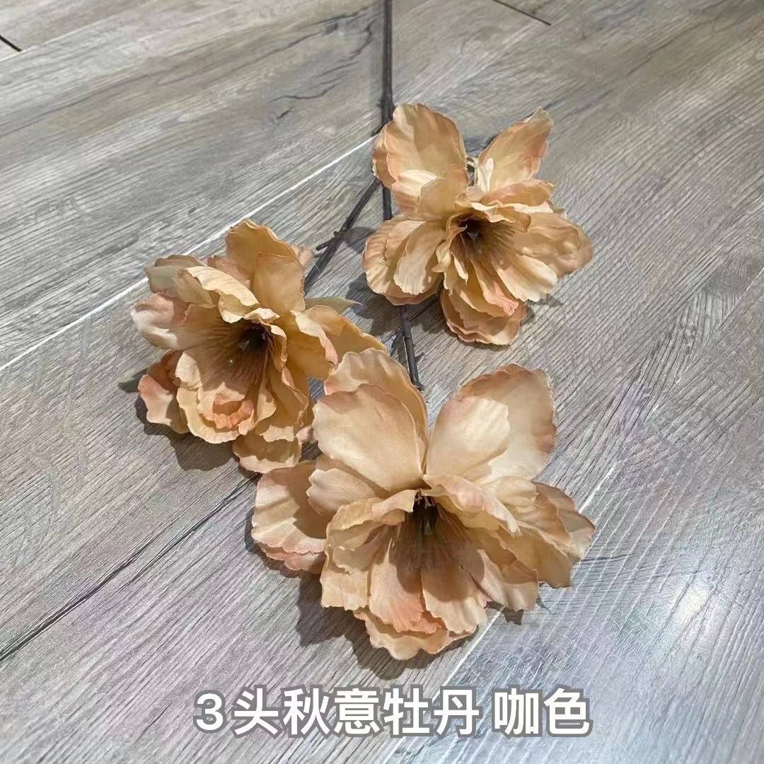 สีน้ำตาล 3 หัว โปยีฤดูใบไม้ร่วงแกง