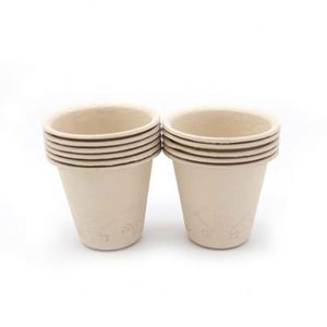 Venta Directa de Fábrica, Vasos Desechables Biodegradables de Pulpa de Bambú, Sellados y a Prueba de Fugas, para Café y Agua - Product Image 2